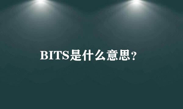 BITS是什么意思？