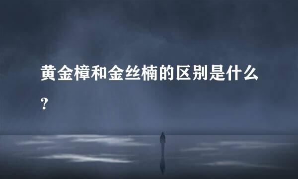黄金樟和金丝楠的区别是什么？