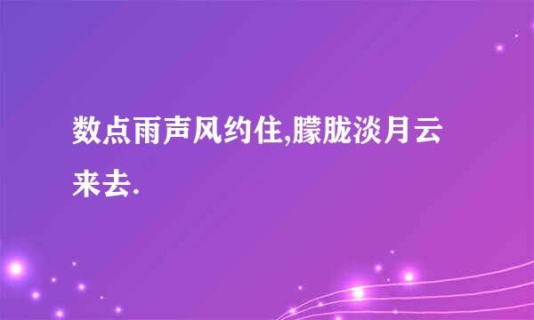 数点雨声风约住,朦胧淡月云来去.