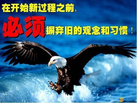 老鹰重生的故事械设思群滑顾选速，告诉我们的道理？