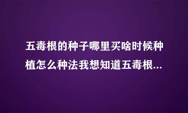 五毒根的种子哪里买啥时候种植怎么种法我想知道五毒根的种子哪里买啥时候种植怎么种法