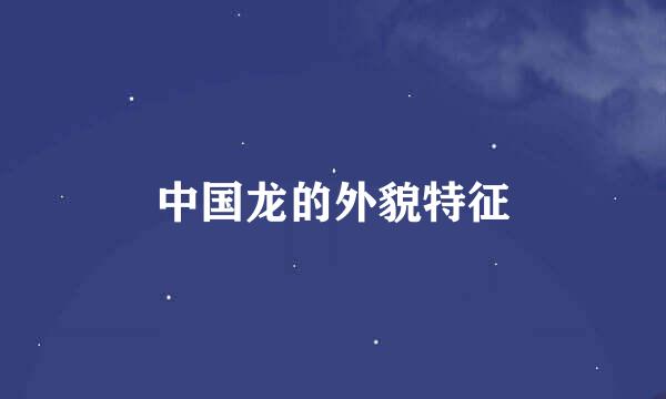 中国龙的外貌特征