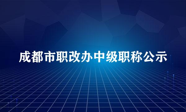 成都市职改办中级职称公示