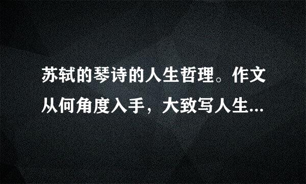 苏轼的琴诗的人生哲理。作文从何角度入手，大致写人生的什么方面