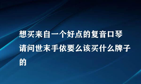 想买来自一个好点的复音口琴请问世末手依要么该买什么牌子的