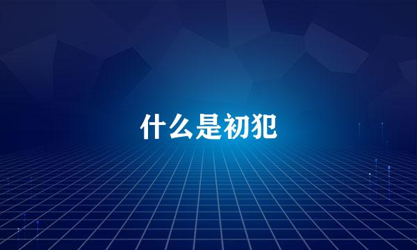 什么是初犯