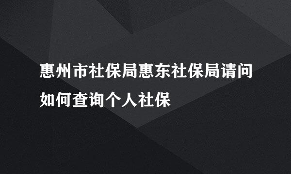 惠州市社保局惠东社保局请问如何查询个人社保