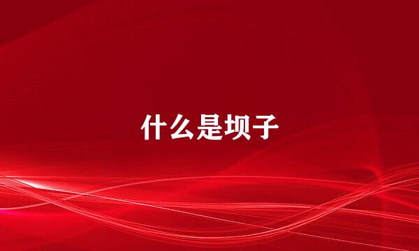 什么是坝子