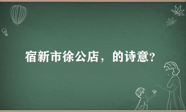 宿新市徐公店，的诗意？