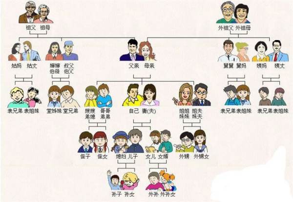 家庭称谓的称供孙木呼总汇