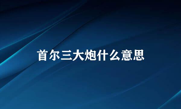 首尔三大炮什么意思