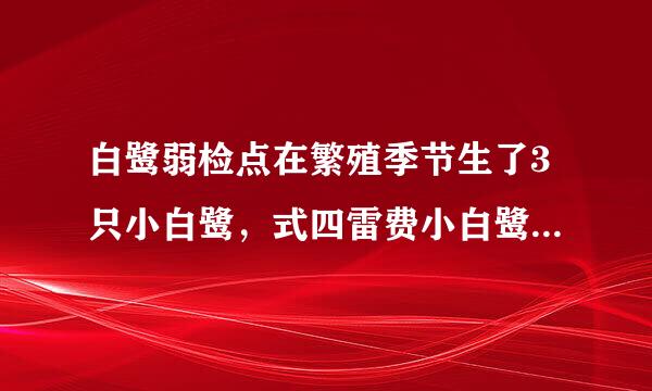 白鹭弱检点在繁殖季节生了3只小白鹭，式四雷费小白鹭生长发育的细胞学基础是什么称听