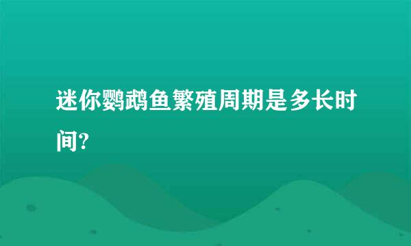 迷你鹦鹉鱼繁殖周期是多长时间?
