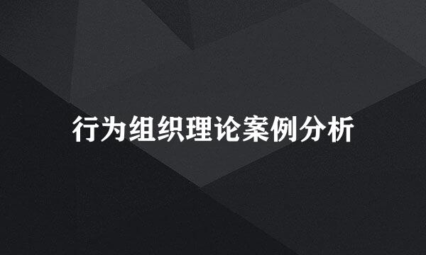 行为组织理论案例分析