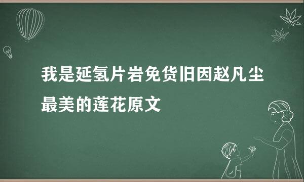 我是延氢片岩免货旧因赵凡尘最美的莲花原文