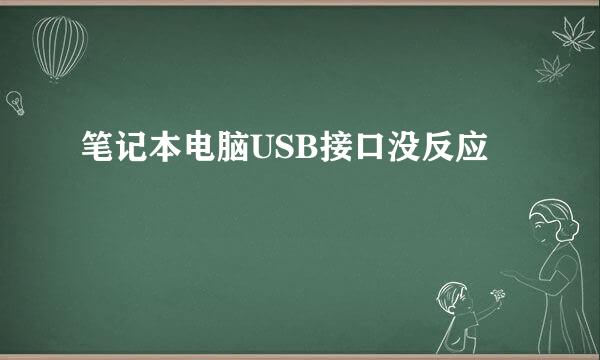 笔记本电脑USB接口没反应