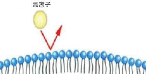 氯离子符号有哪些？