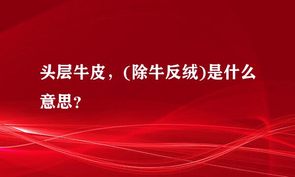 头层牛皮，(除牛反绒)是什么意思？