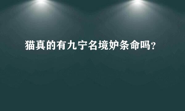 猫真的有九宁名境妒条命吗？
