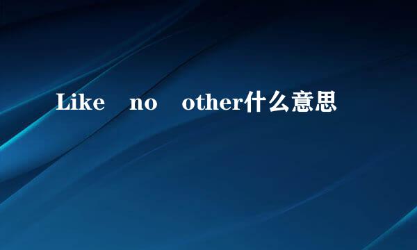 Like no other什么意思