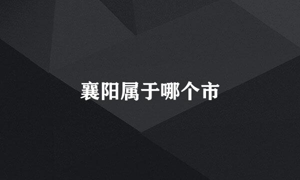 襄阳属于哪个市