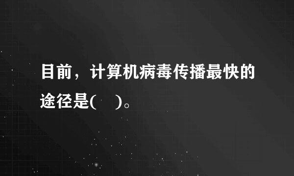 目前，计算机病毒传播最快的途径是( )。