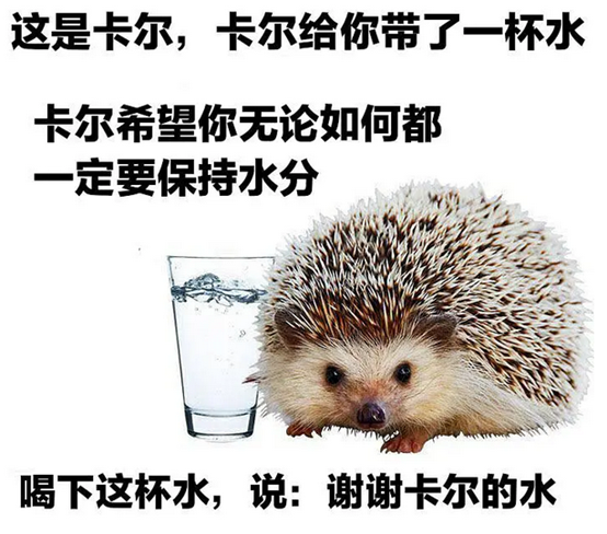 小刺猬卡耐技地尔什么梗?