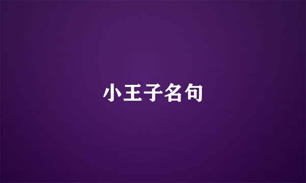 小王子名句