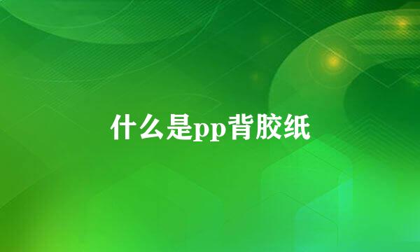 什么是pp背胶纸