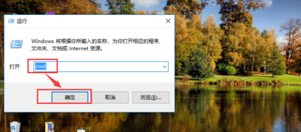 403 forbidden怎么解决