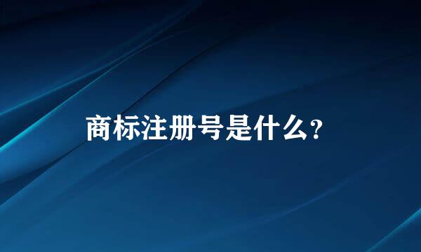 商标注册号是什么？
