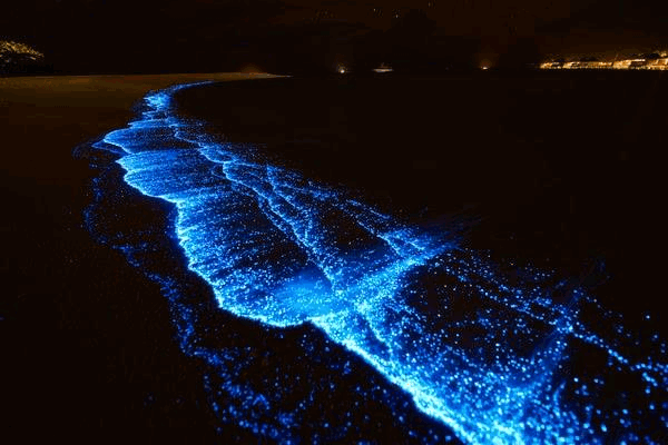 十二星座的眼泪代表什么？