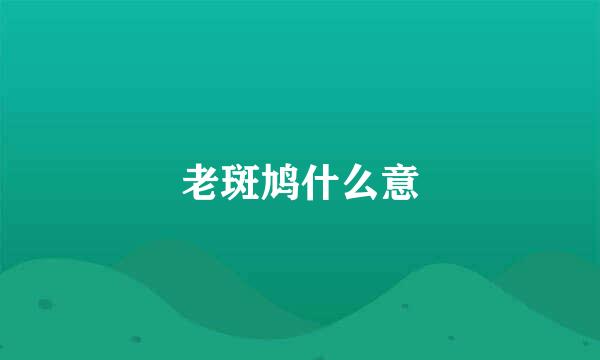 老斑鸠什么意