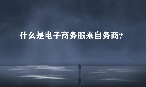 什么是电子商务服来自务商？