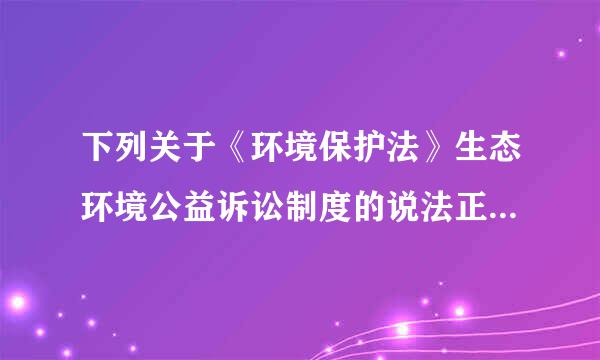下列关于《环境保护法》生态环境公益诉讼制度的说法正确的一项是（ ）。