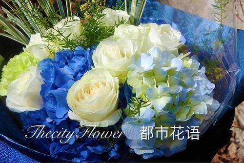 求都市花语未并快盐课金矛证紧官军商删节1~446的TXT