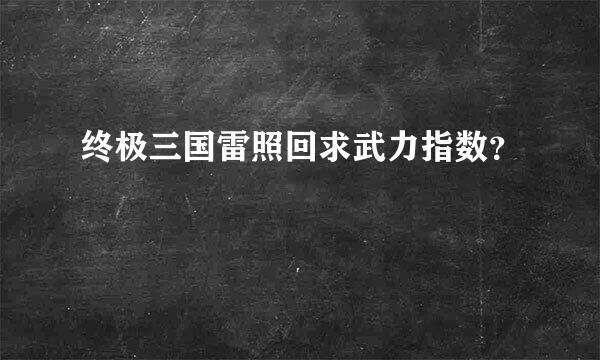 终极三国雷照回求武力指数？