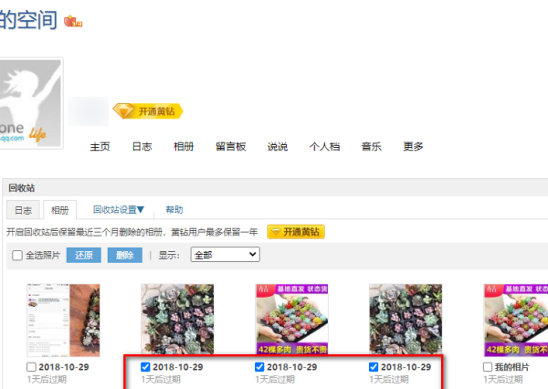 q来自q照片回收站的照片删了怎么恢复