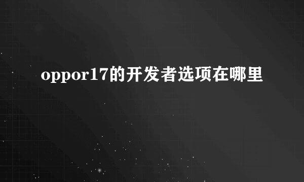 oppor17的开发者选项在哪里