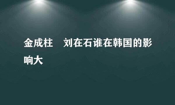 金成柱 刘在石谁在韩国的影响大