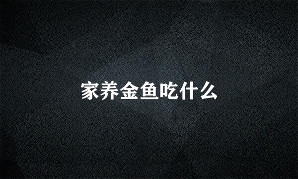 家养金鱼吃什么