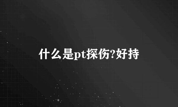 什么是pt探伤?好持