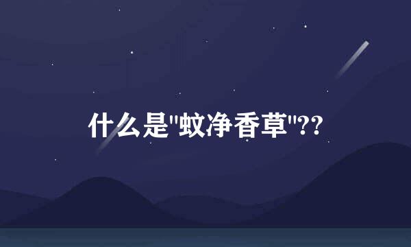 什么是