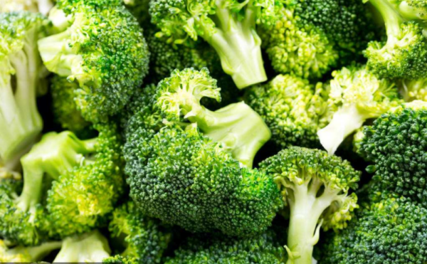 含有高蛋白的食物有哪些?(越多越好)