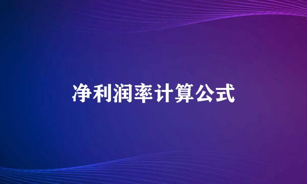 净利润率计算公式