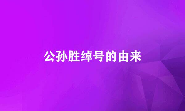 公孙胜绰号的由来
