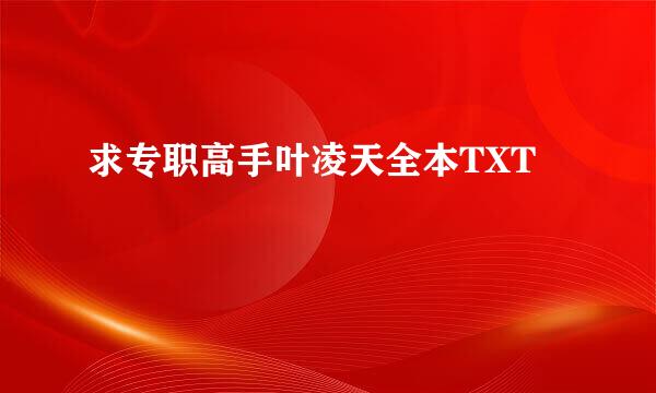 求专职高手叶凌天全本TXT