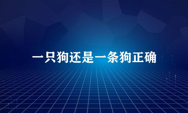 一只狗还是一条狗正确