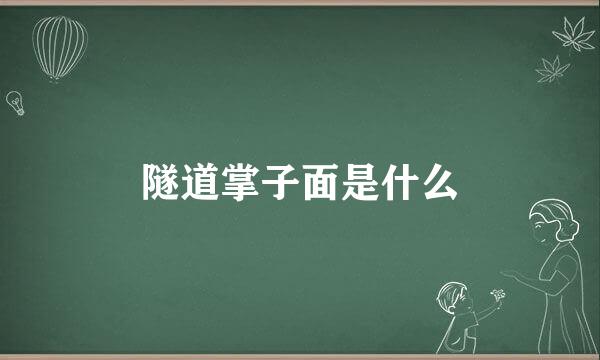 隧道掌子面是什么