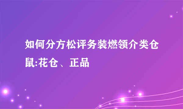 如何分方松评务装燃领介类仓鼠:花仓、正品